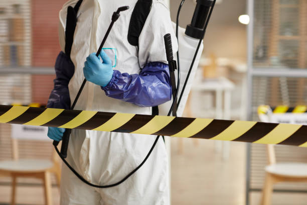 Professional Sewage Cleanup technician working in Akron, IA